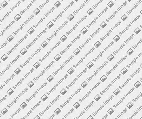 Vehicular Accident<br/>Computer Simulation